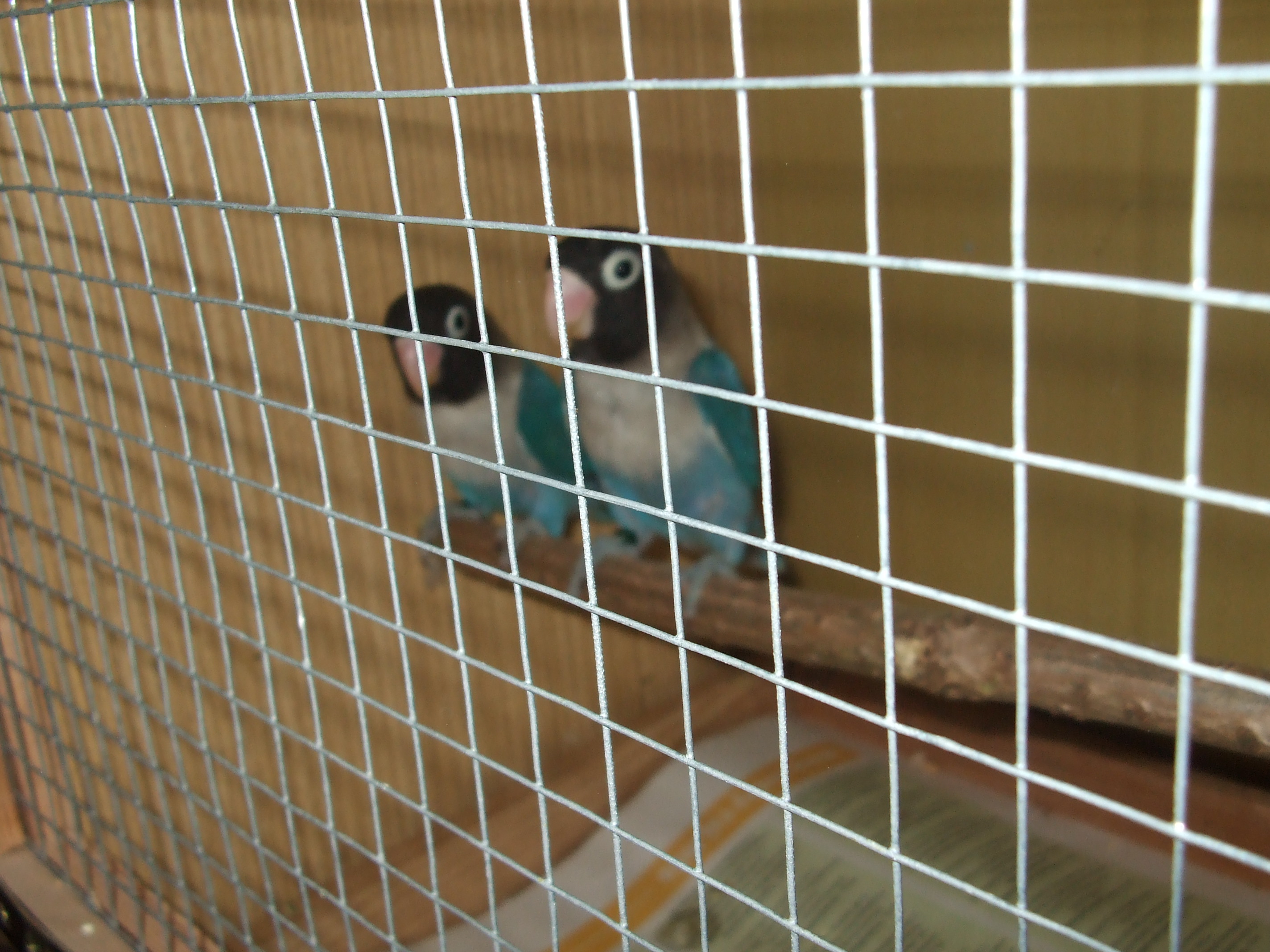 DSCF4630.JPG