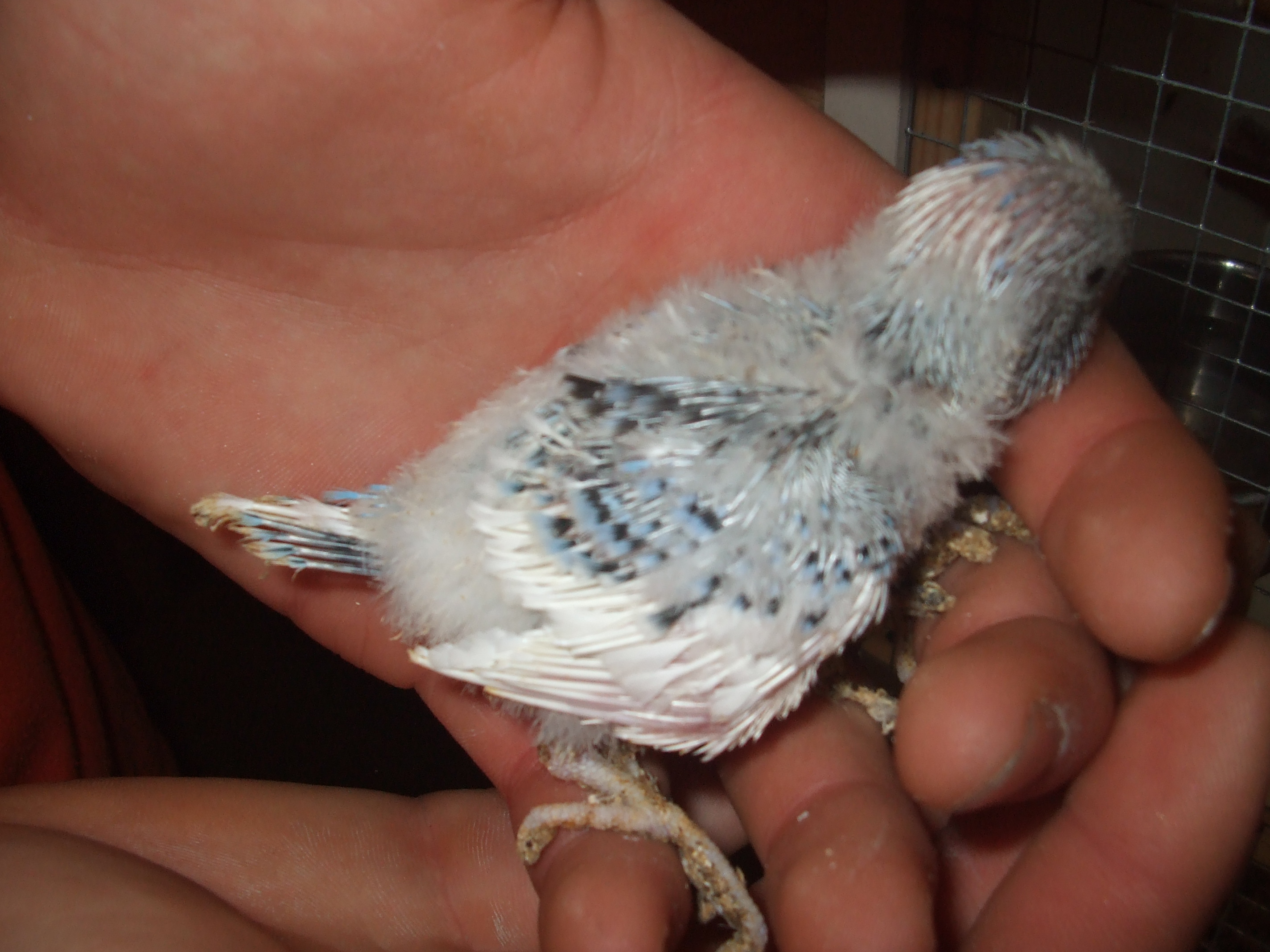 DSCF4610.JPG