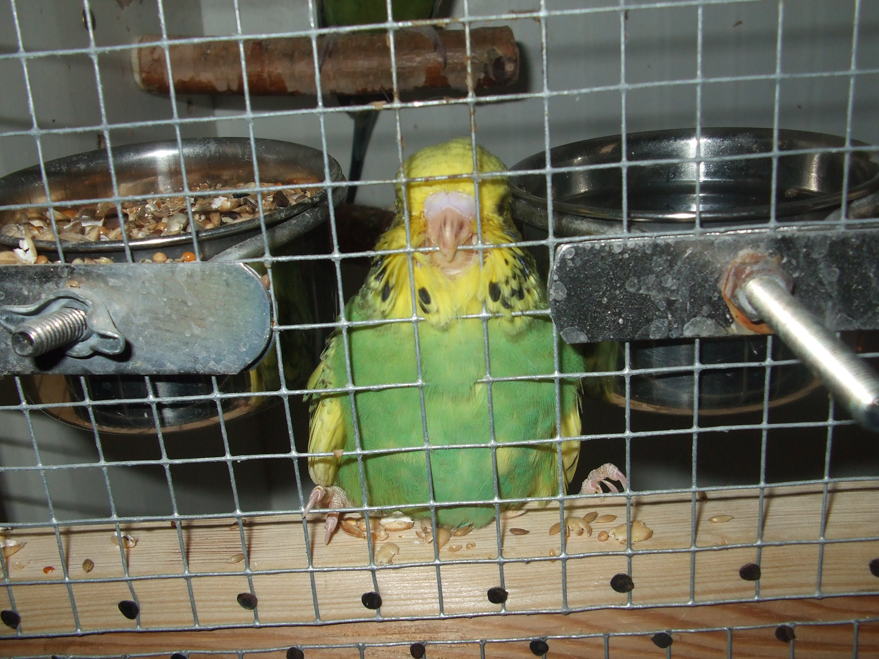 DSCF4659.JPG