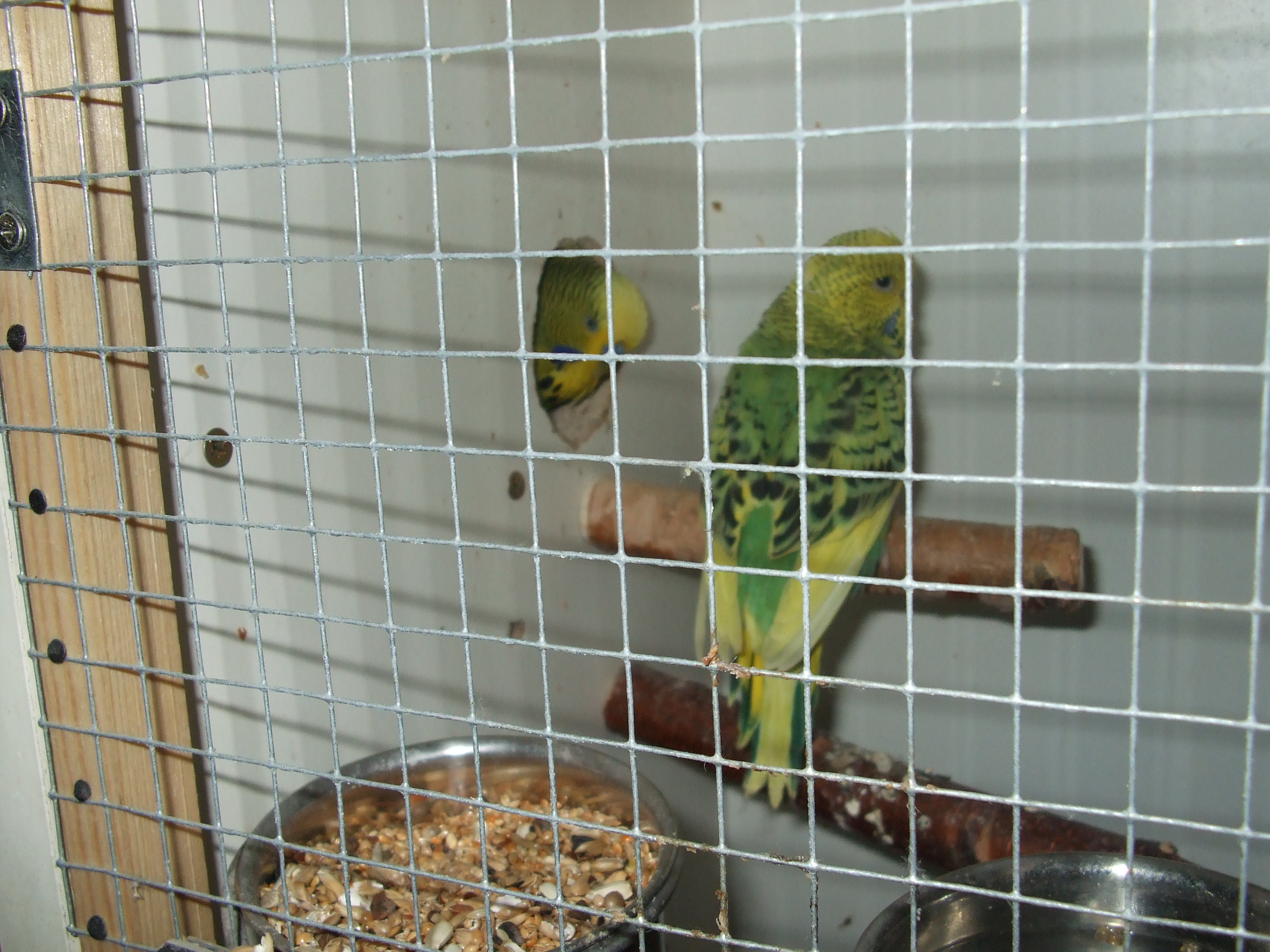 DSCF4661.JPG