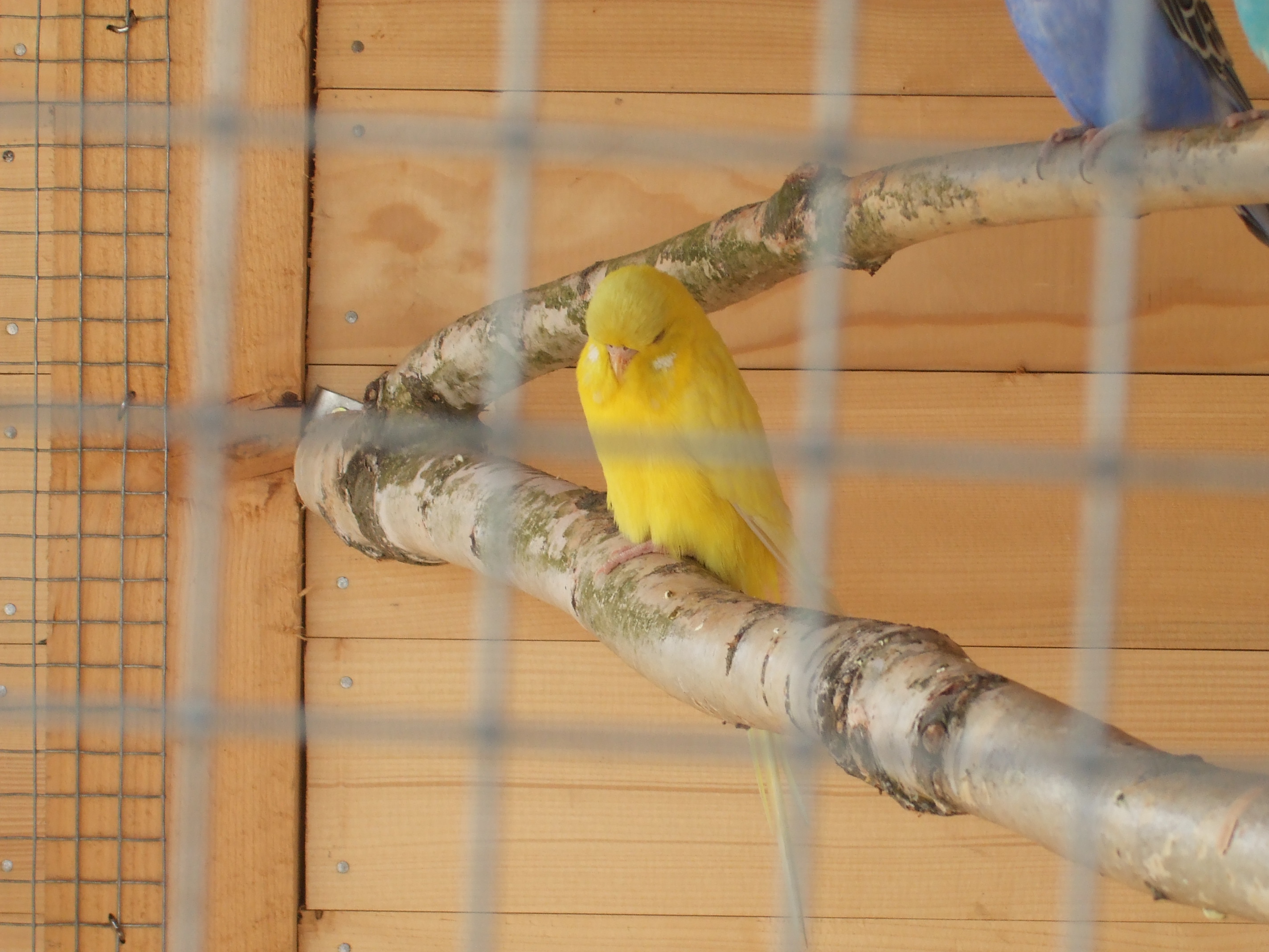 DSCF5054.JPG